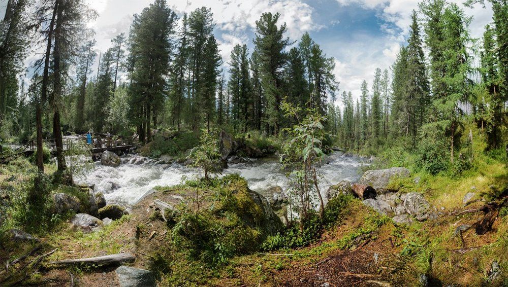 Photograph by Щербакова Галина