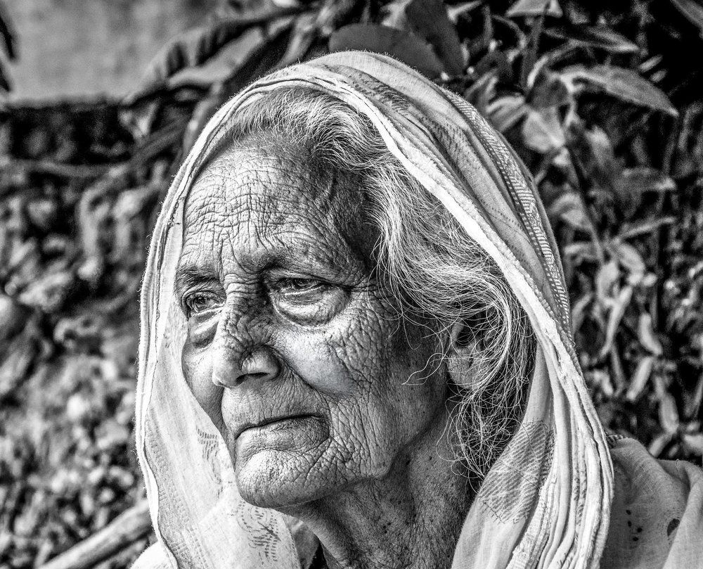 Portrait of an Old Lady