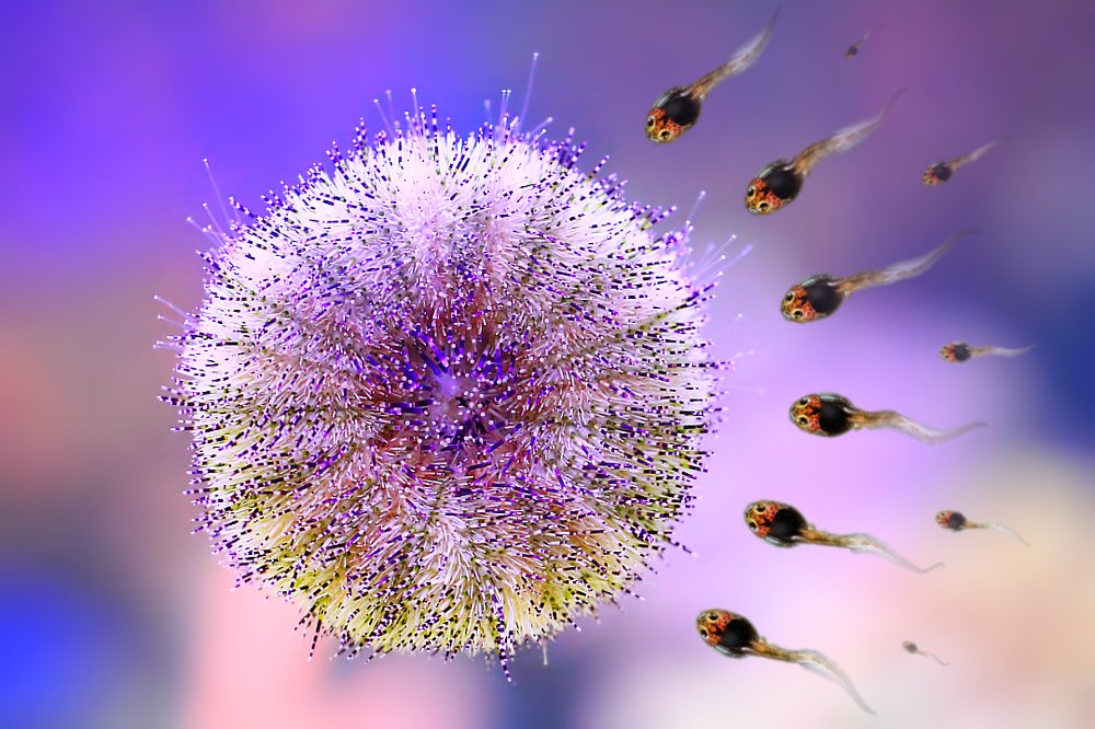 Ох уж эти инстинкты...