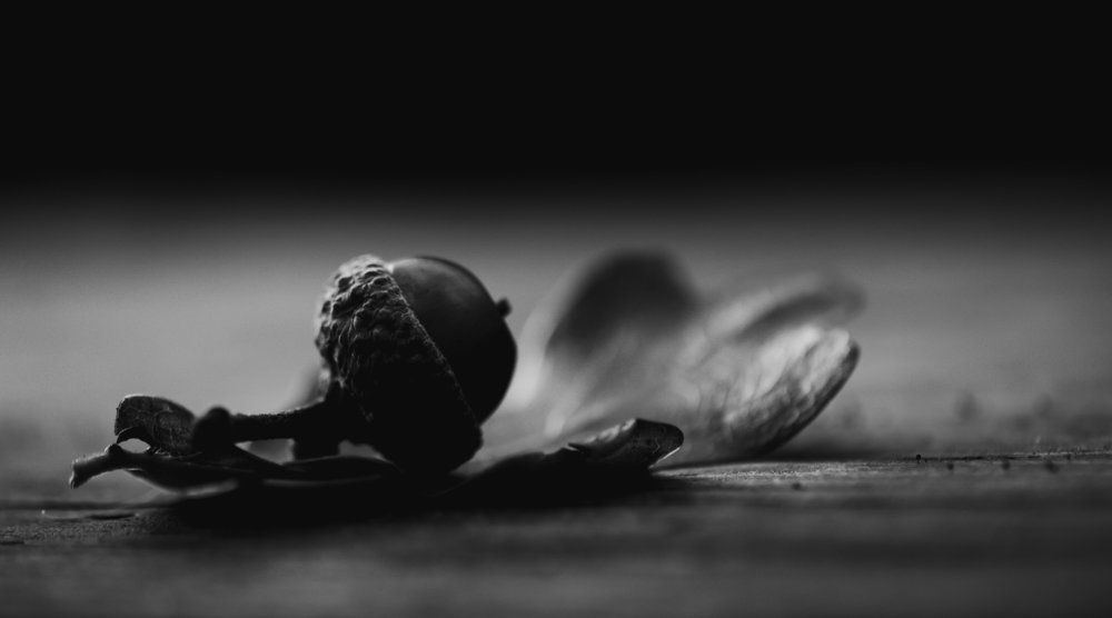 Photograph by Сергей Масленников