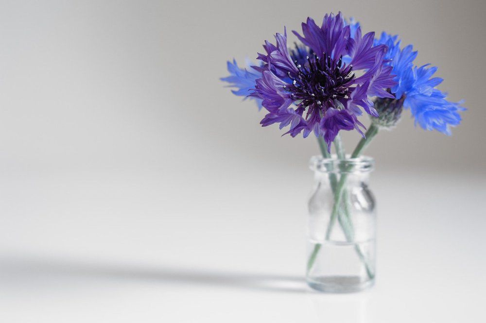 about minimalism. . .