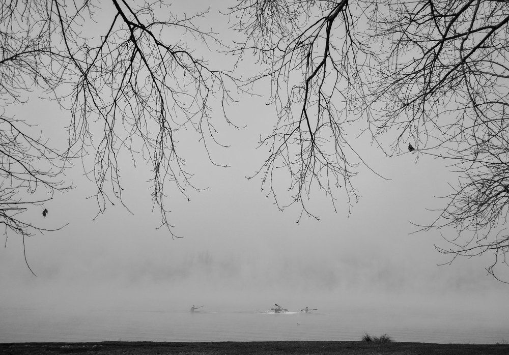 Движение в тумане