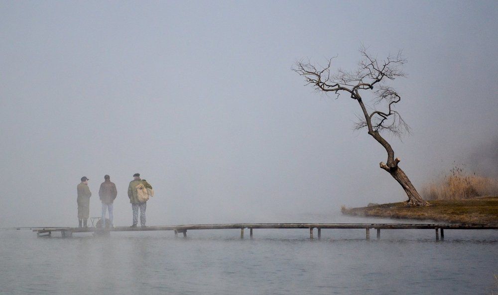 Три товарища