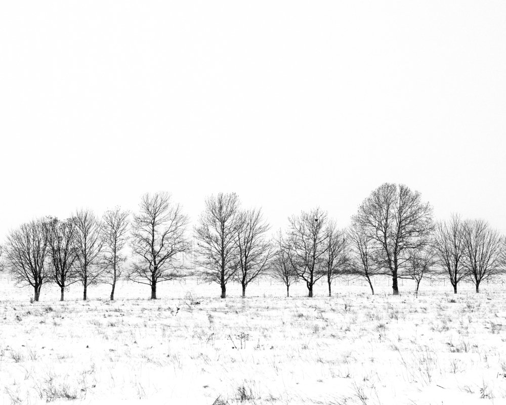 Графика Зимы.