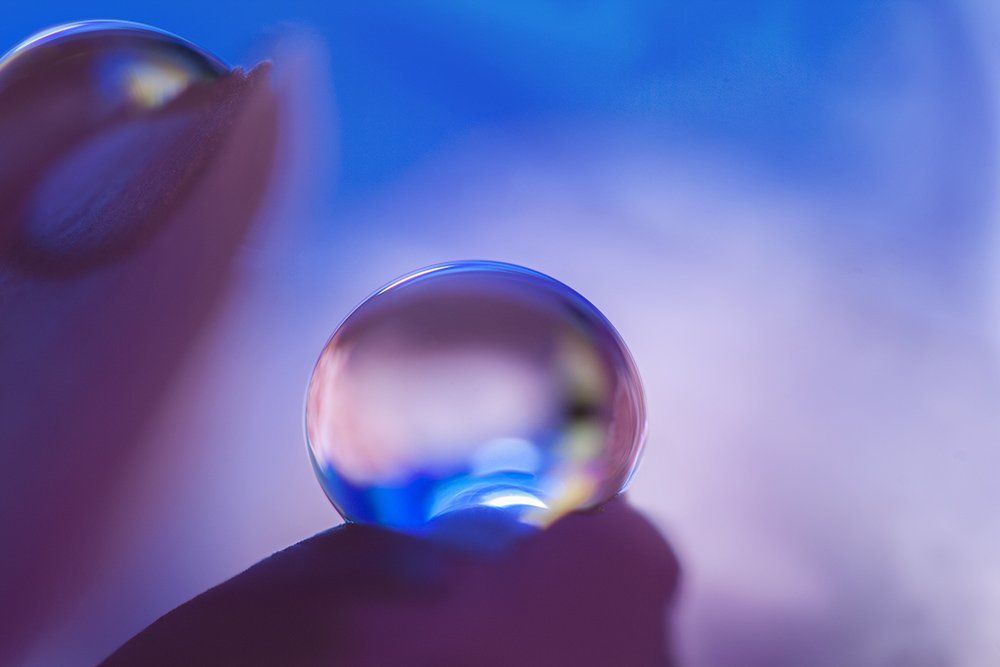 Photograph by Кабыжакова Валерия