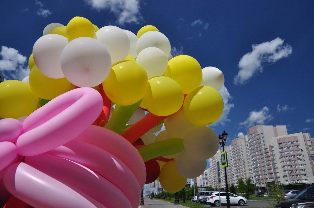 Без названия