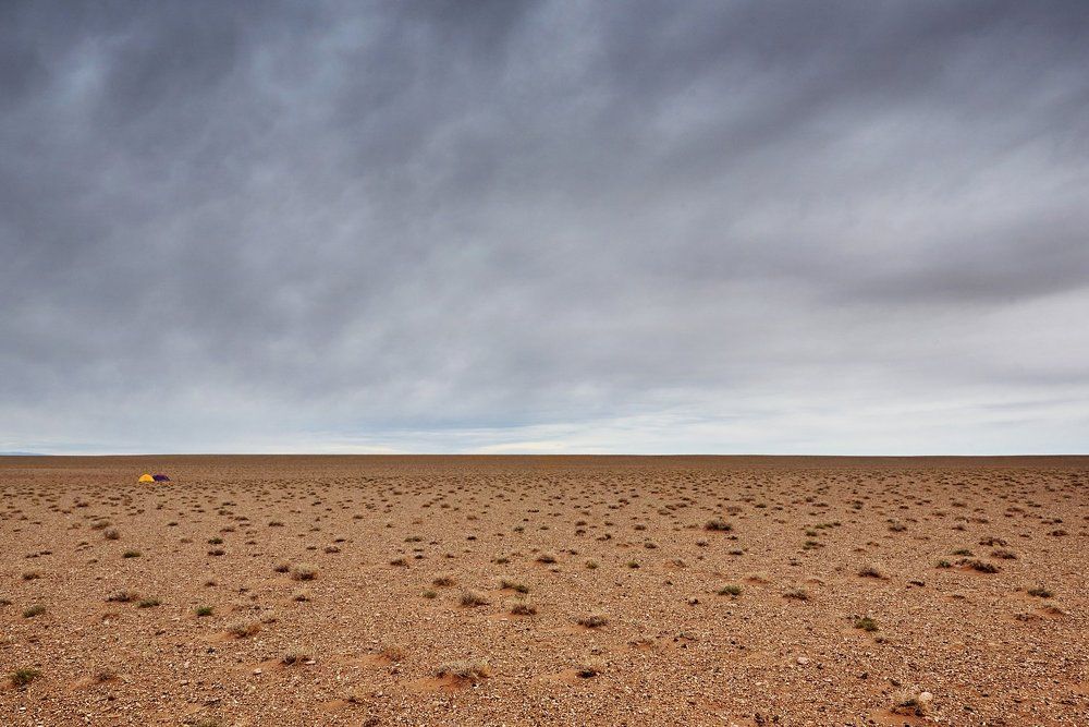 Понаехали тут...
