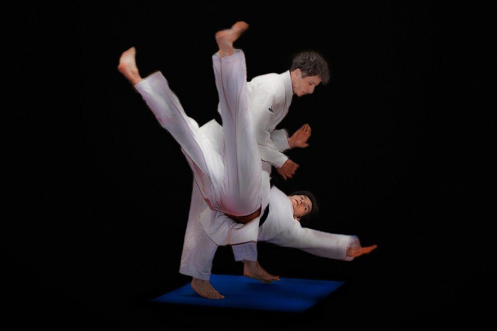 Judo 8