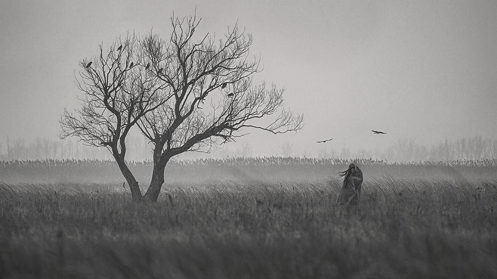 Photograph by Василий Гальченко