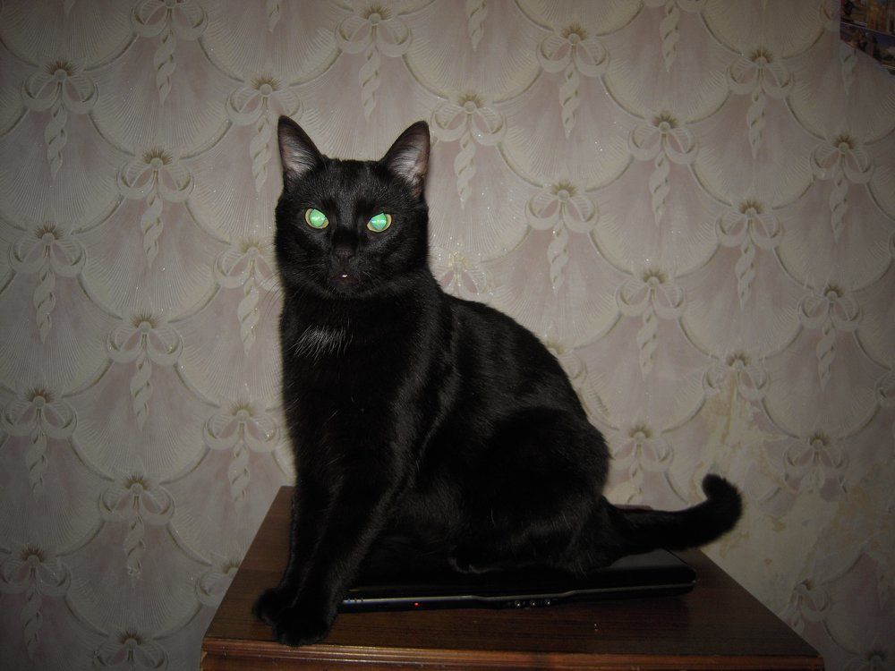 Нефритовый взгляд.