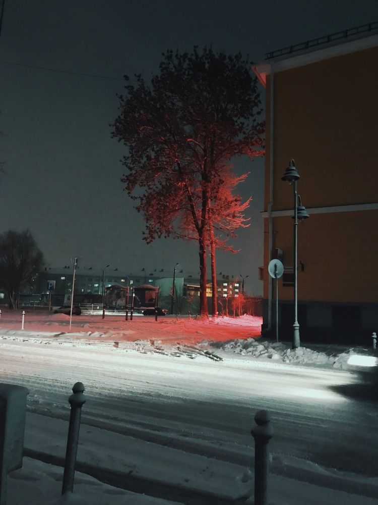 Photograph by Саша Настоящая