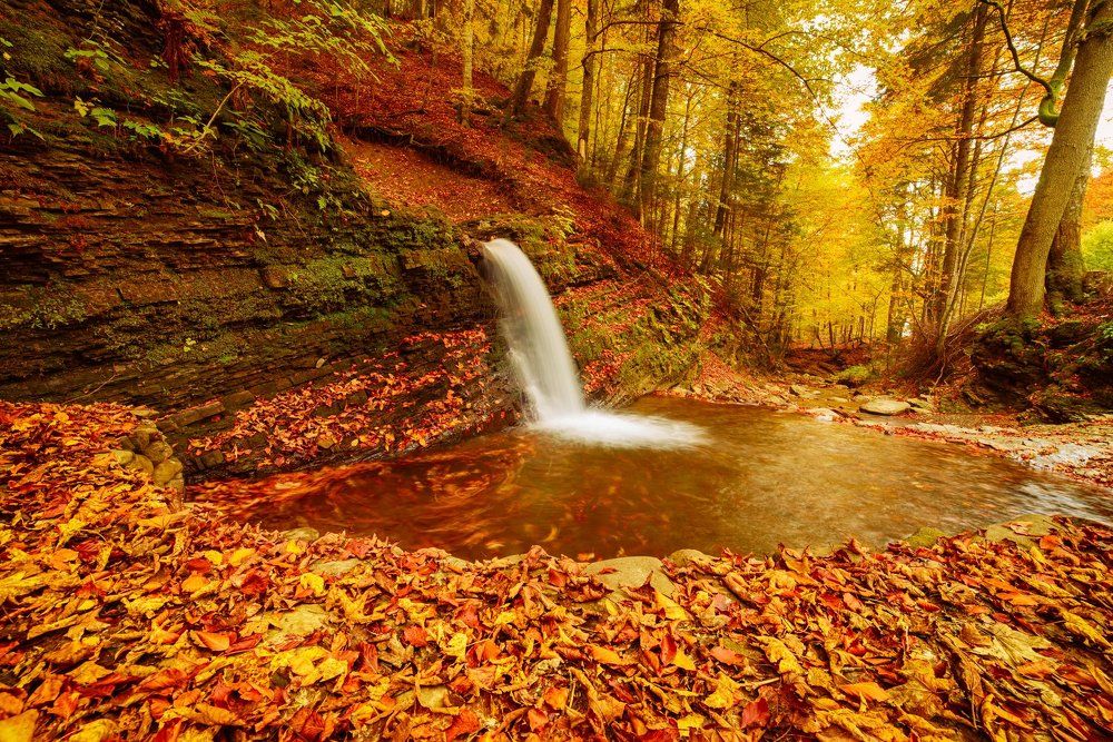 Beautiful waterfall at autumn