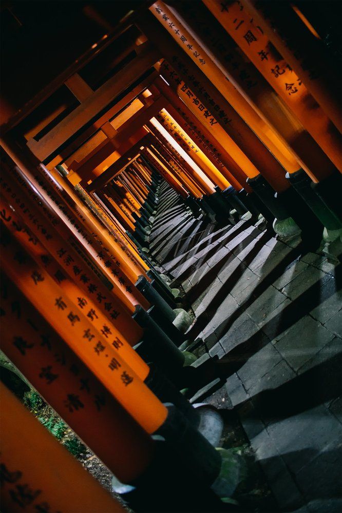 Photograph by Anna Markova