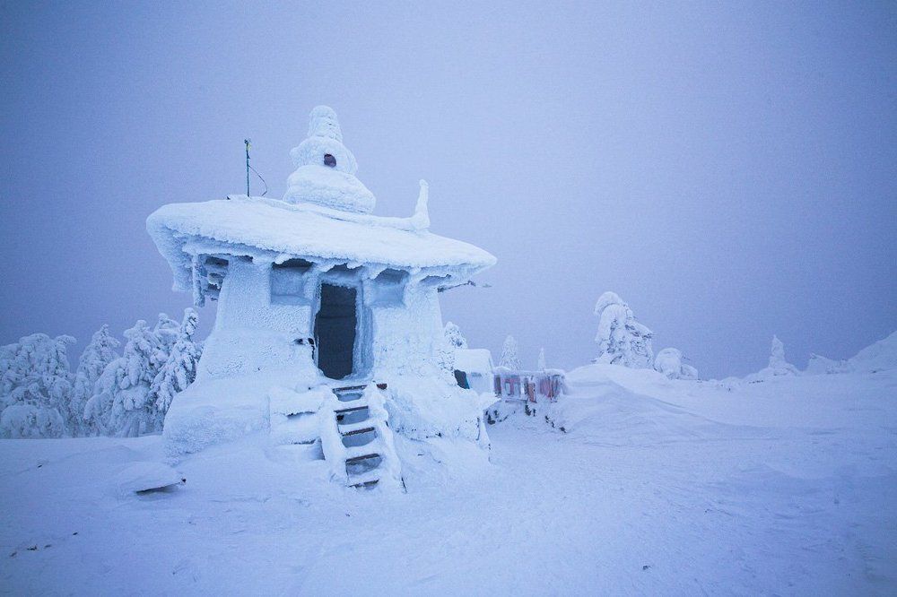 Шад Тчуп Линг
