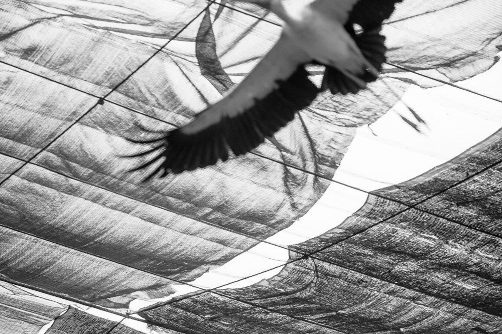 Photograph by Anna Markova