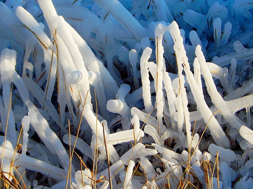 Ледниковый период