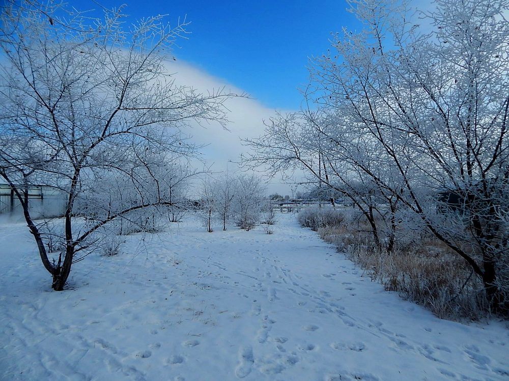 Раннее утро