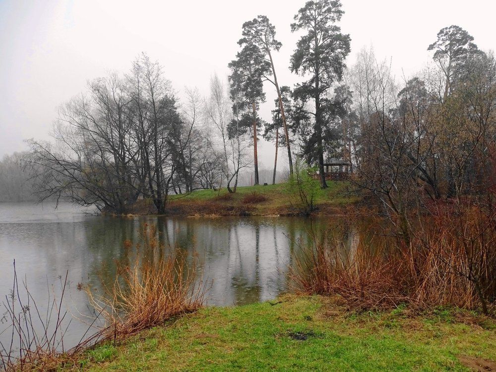 Хмурый день