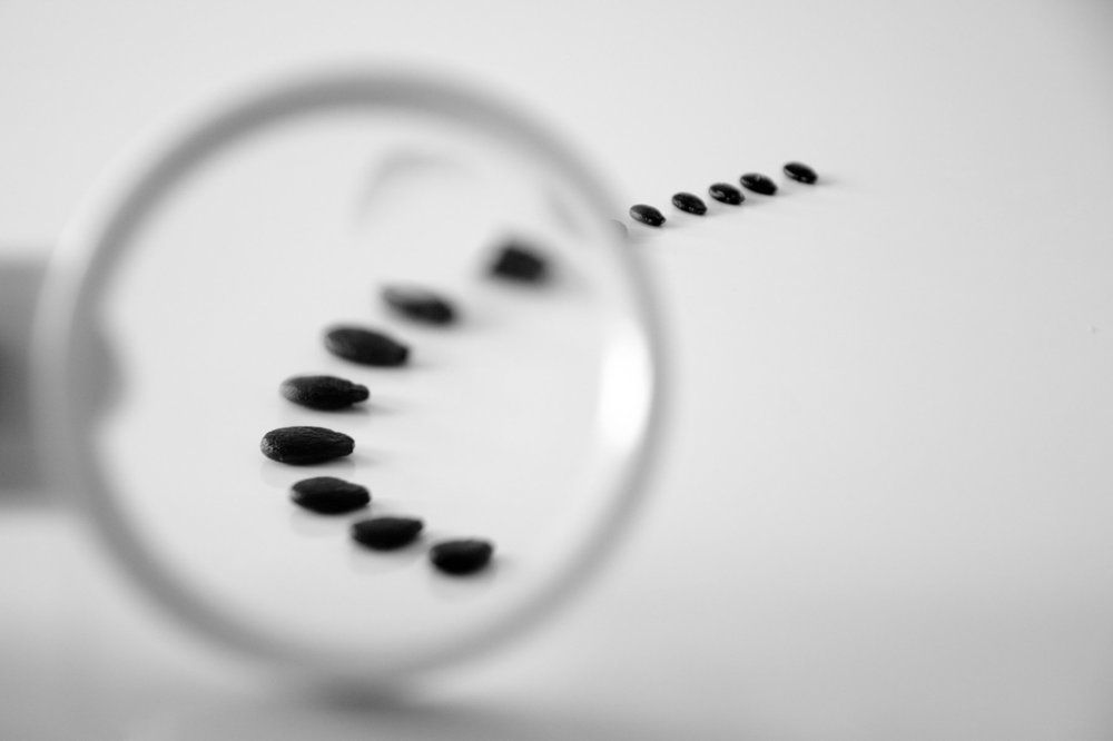 Фотография автора Гудкова Светлана