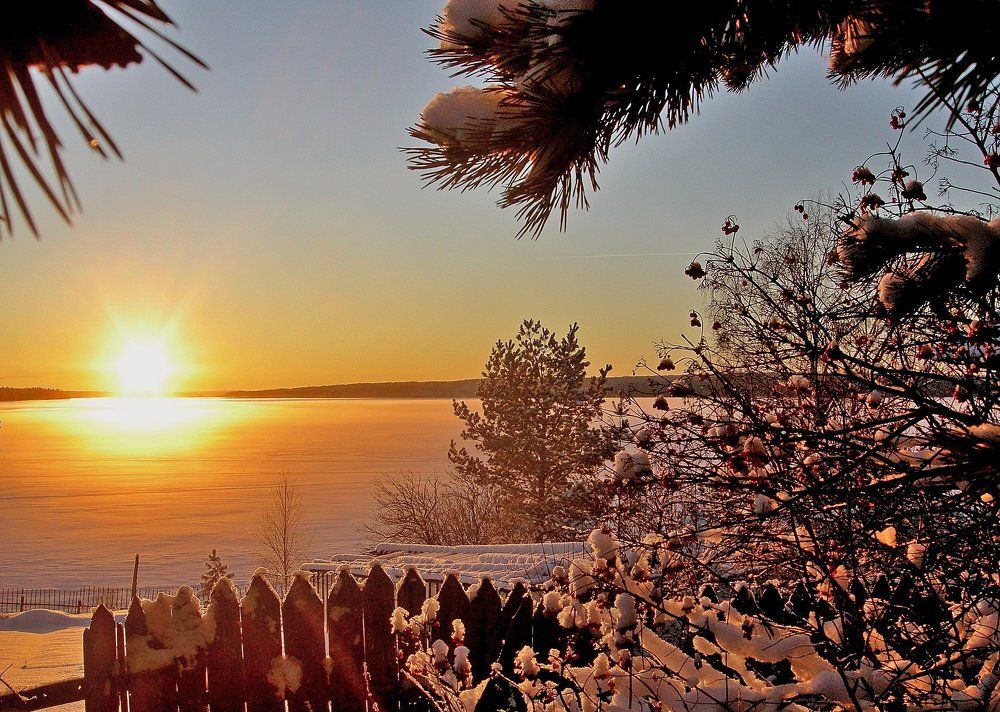 Солнышко на блюдечке