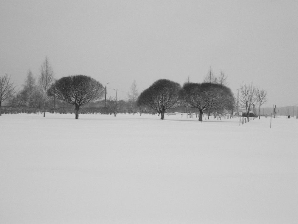 Photograph by Наталья Цуран