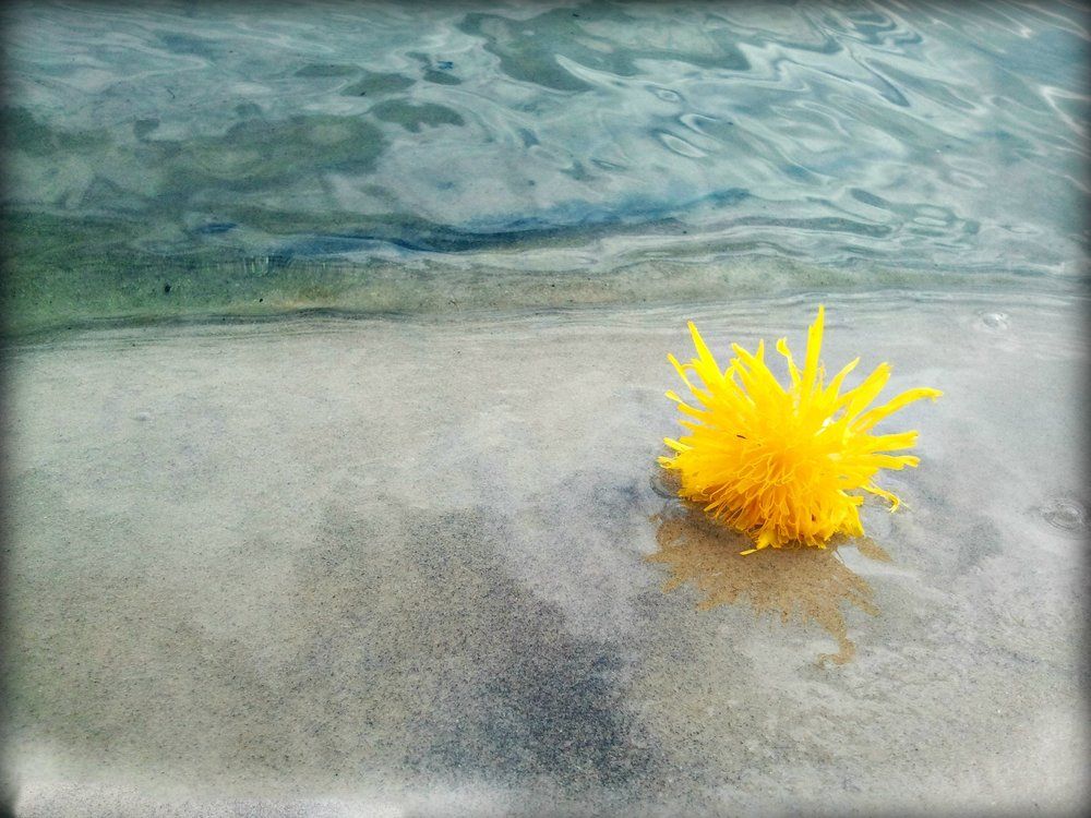 Одиночество солнца