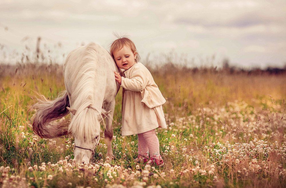 Я люблю свою лошадку..