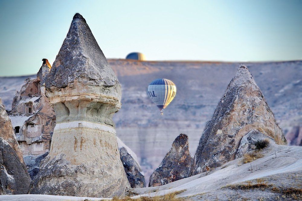 СРЕДИ ГРИБОВ