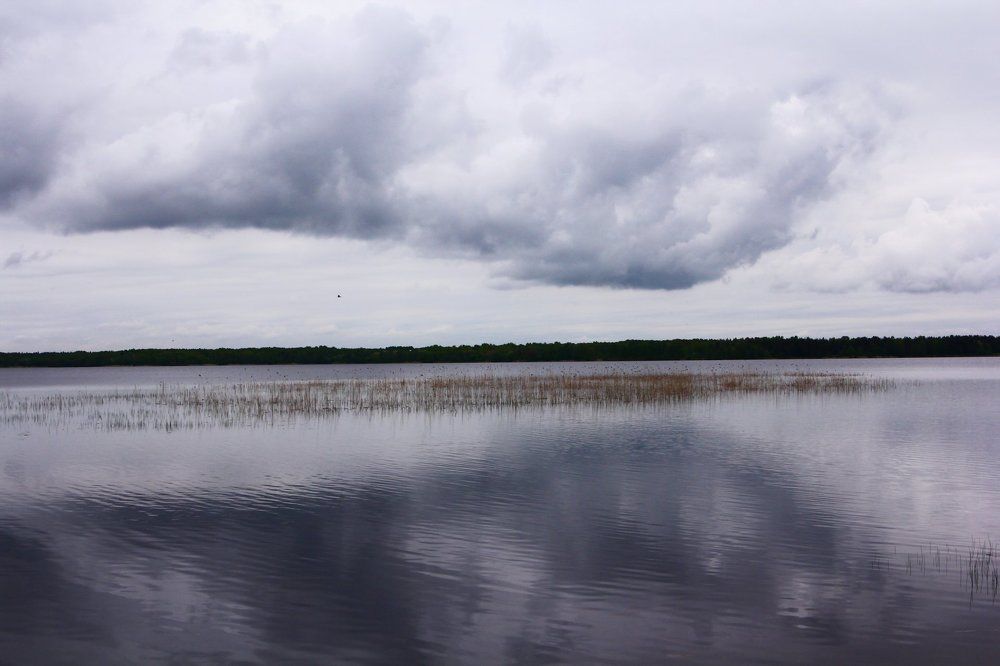 Сестрорецкий Разлив