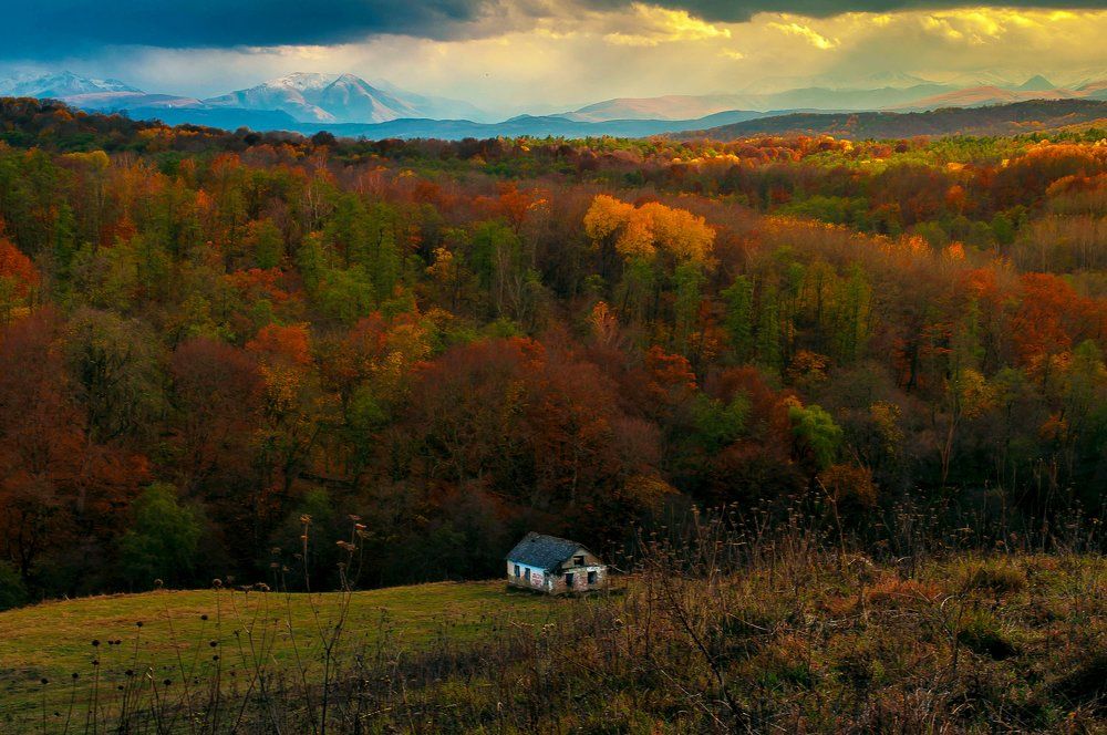 Одиночество