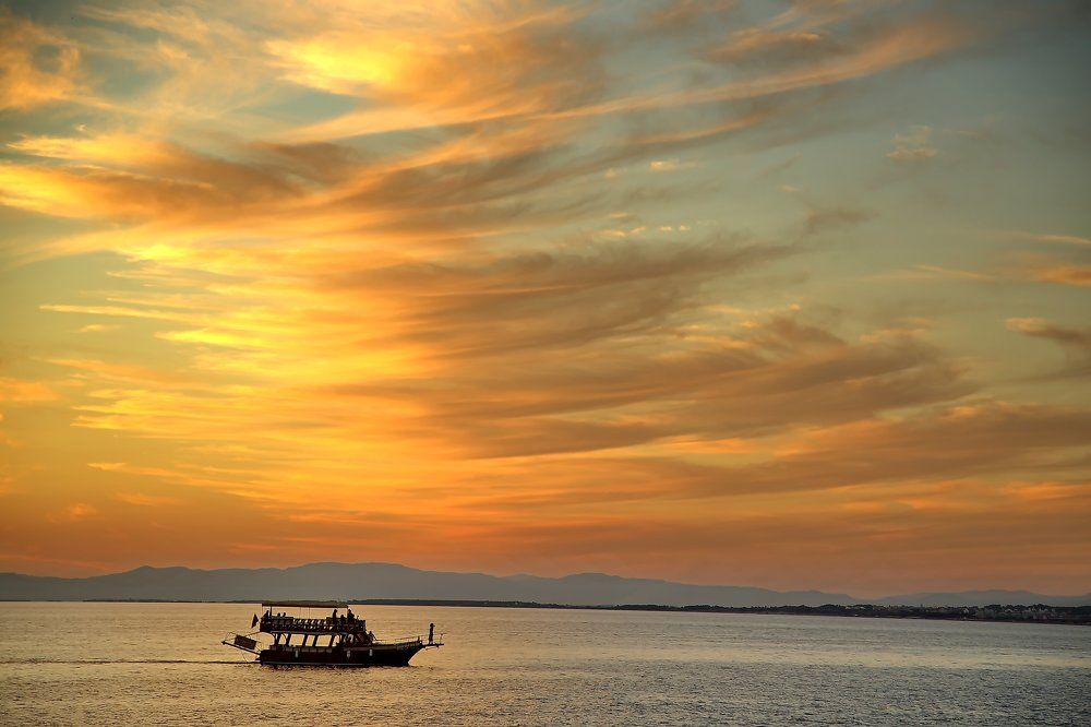 ЗА ЖАР-ПТИЦЕЙ