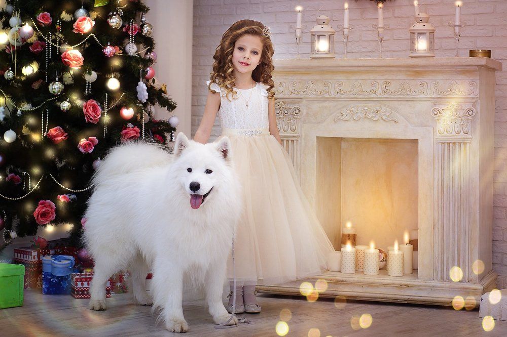 Принцесса и Скай