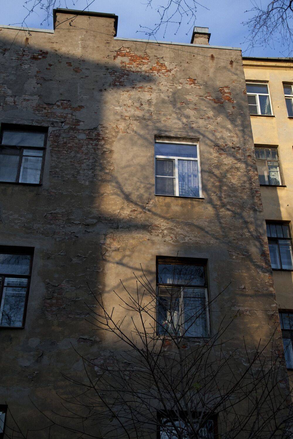 Photo #2089357