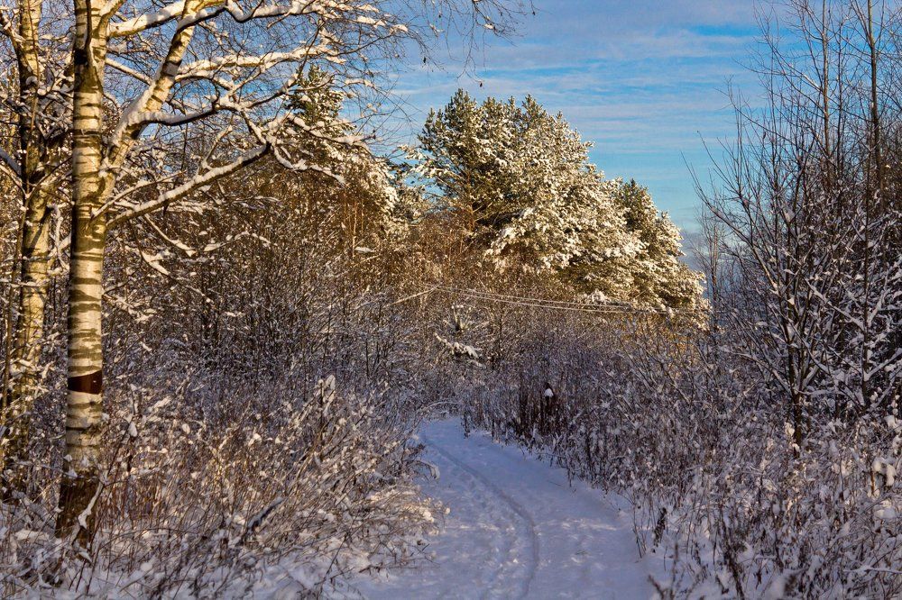 Photograph by Мария Барановская