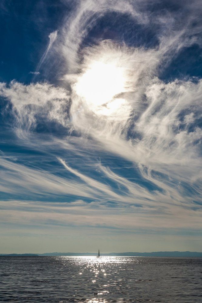 Photograph by Chaim Aminov