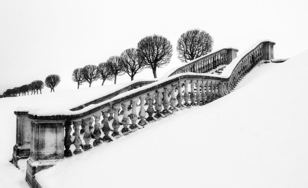 Photograph by Елена Боржковская