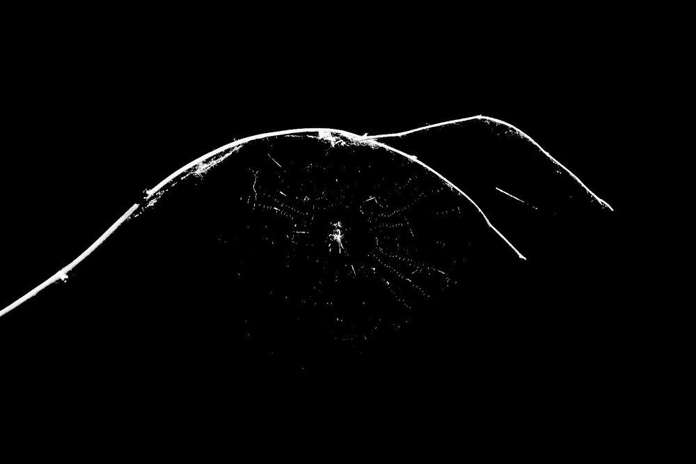 Photograph by Елена Боржковская