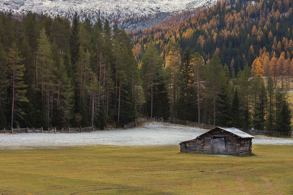 Photograph by Игорь Дубровский
