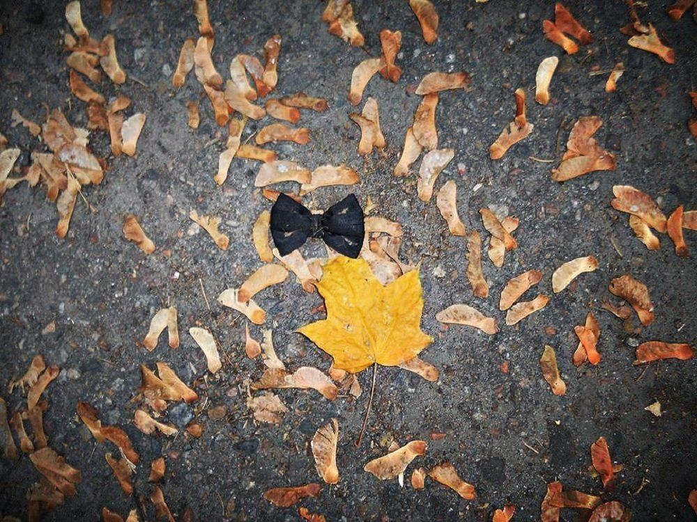 maestro of autumn