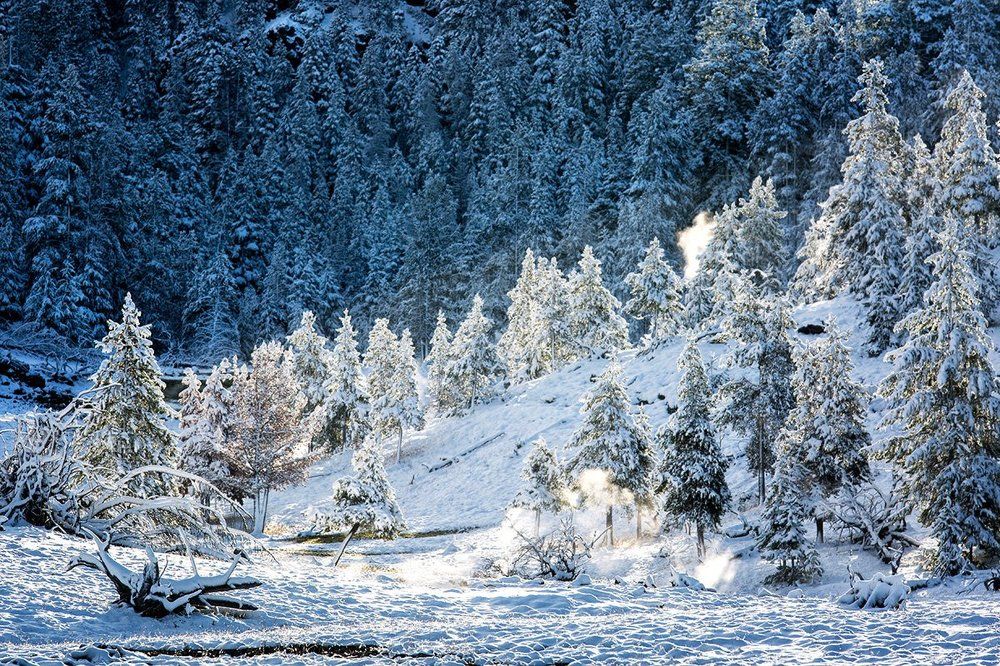 Там, где живут 12 месяцев