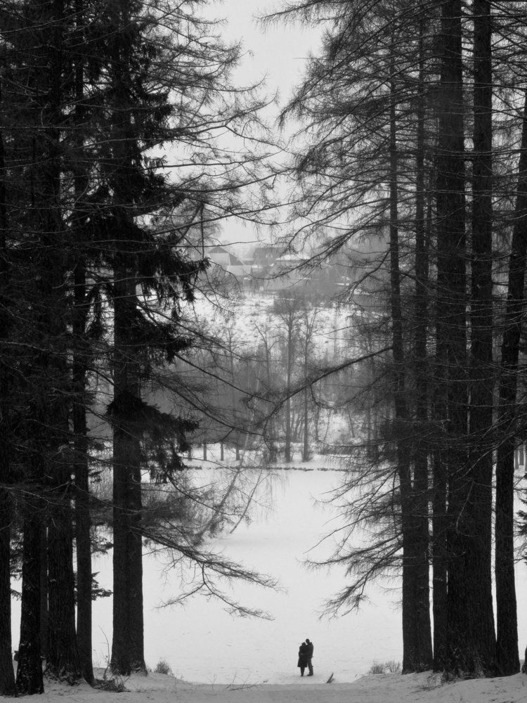 We are alone in the Universe