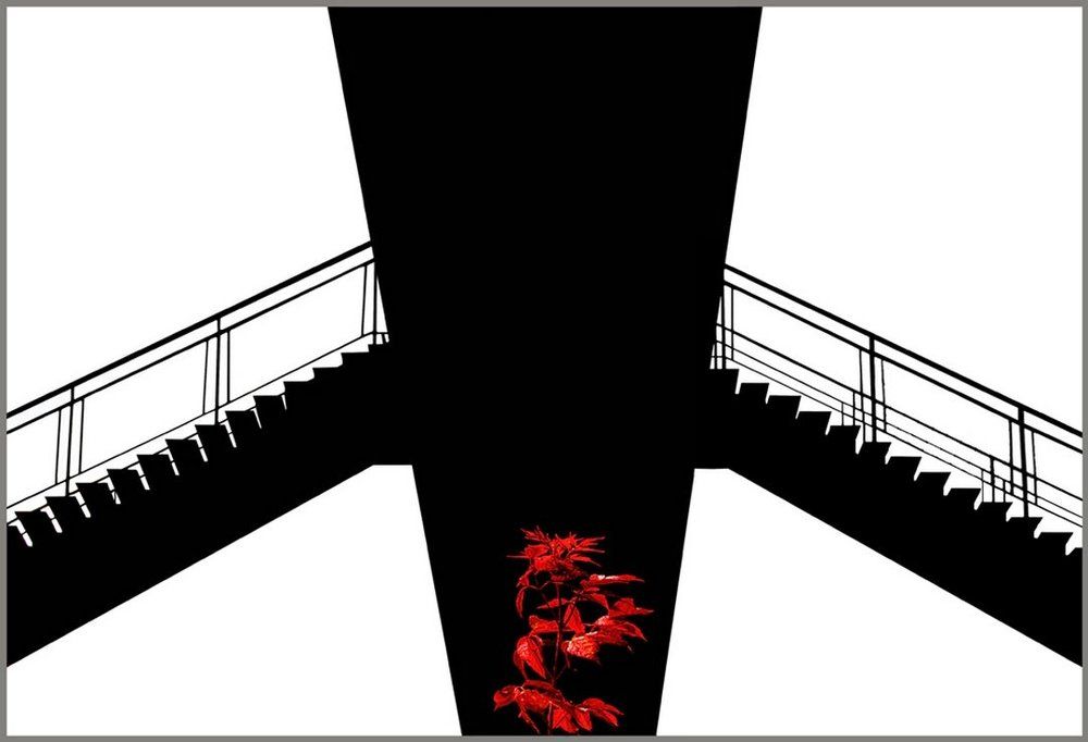 Графика Осени