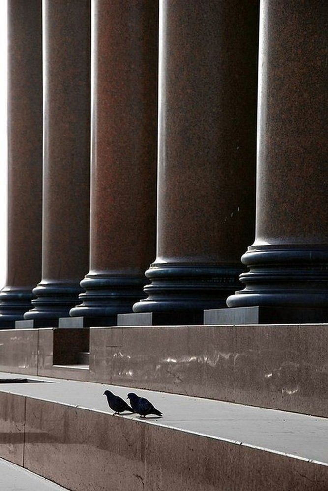 Пара. Исаакиевский . . .