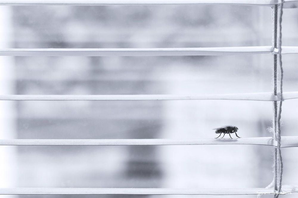 Безысходность