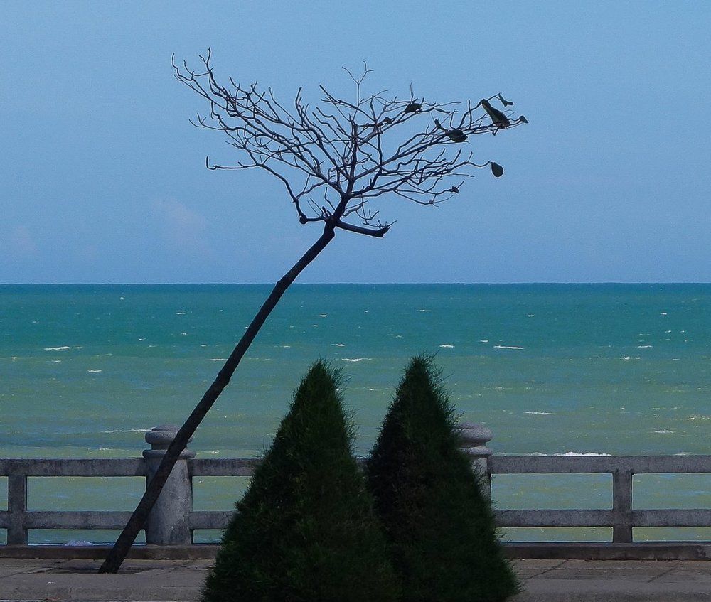 Photograph by Антонов Алексей