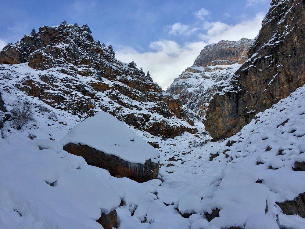 Снежная пудра