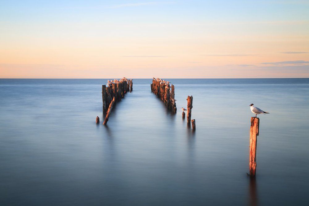 вечерняя балтика