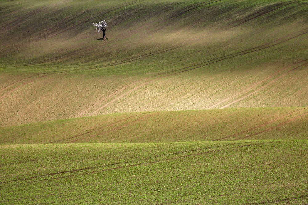 белое на волнах моравии