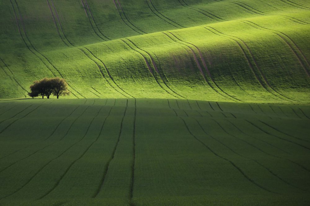 рассвет в чехии