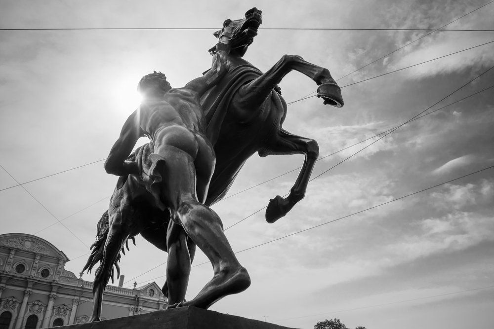 Укротитель коня